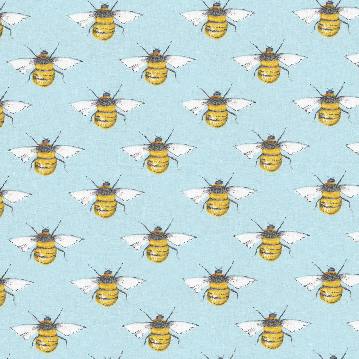 Bee Sky - Variety Pack (S/M/L)