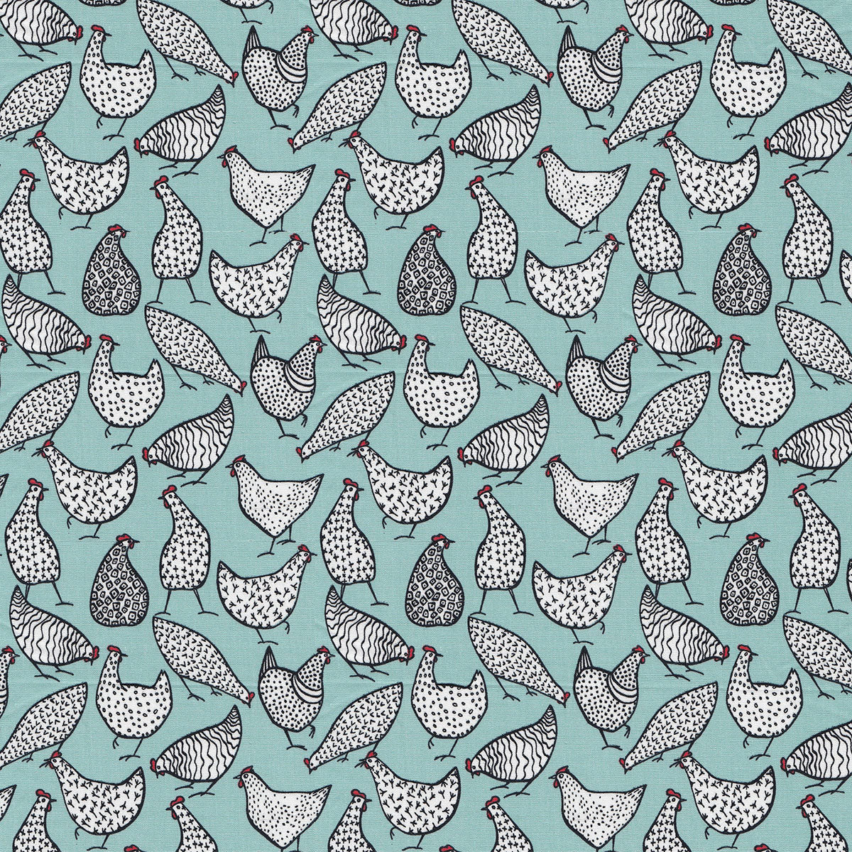 Chickens - Blue - Variety Pack (S/M/L)