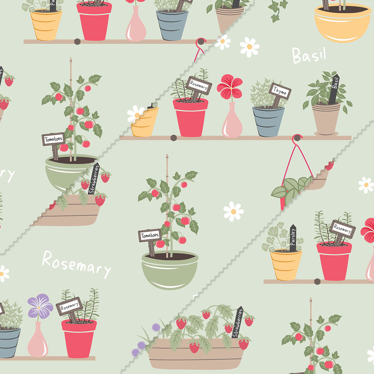 Herb Garden - Variety Pack (S/M/L)